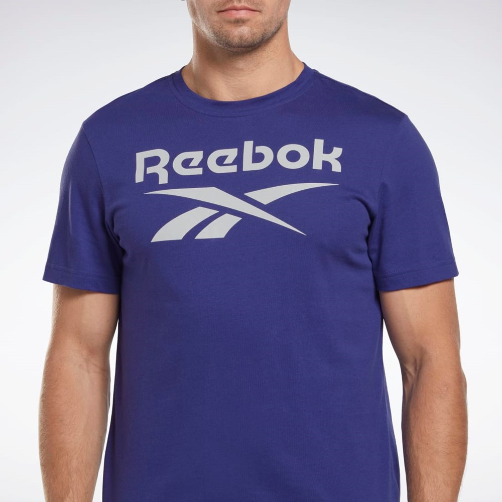 Bold Purple Reebok Reebok Identity Big Logo T-Shirt | HI0660