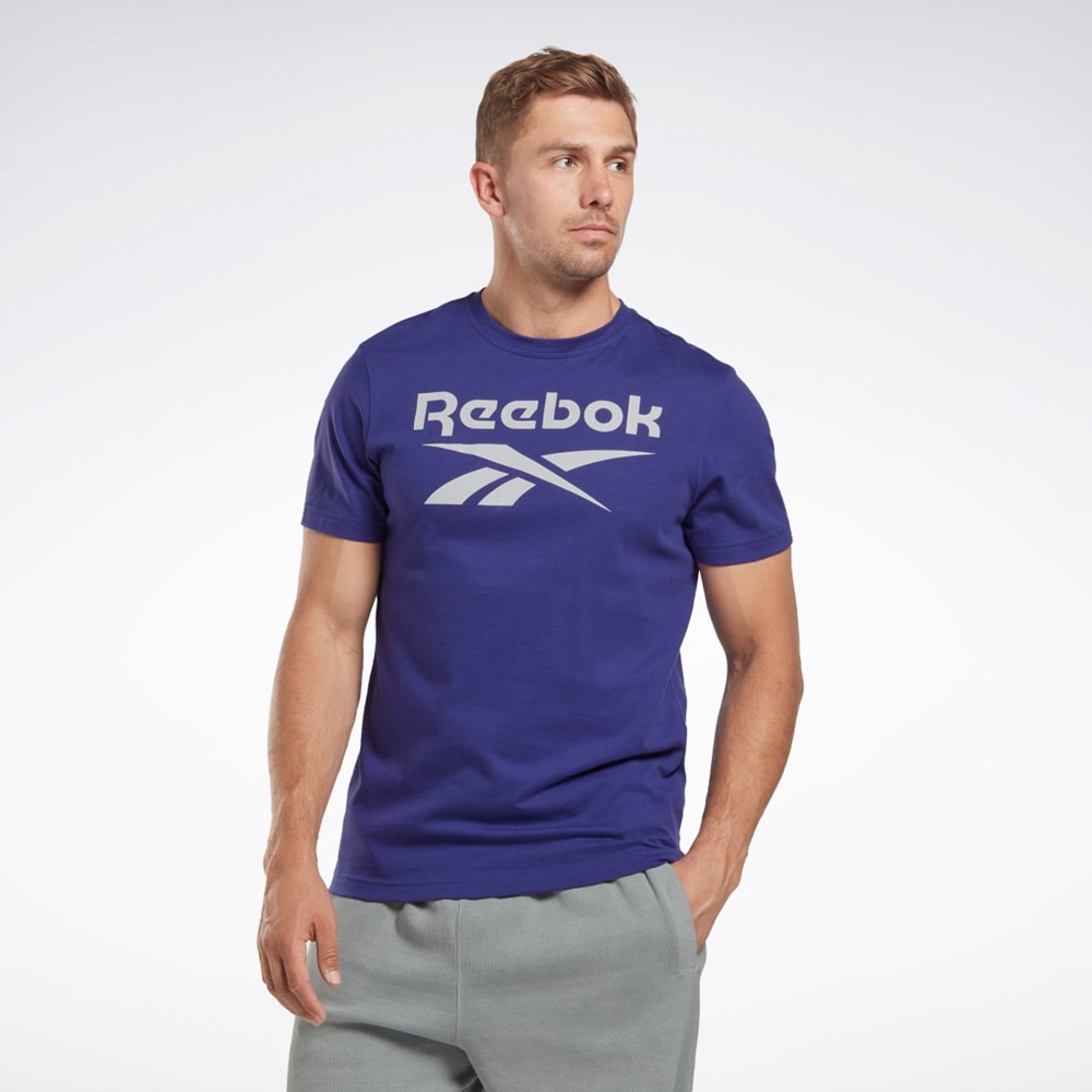 Bold Purple Reebok Reebok Identity Big Logo T-Shirt | HI0660