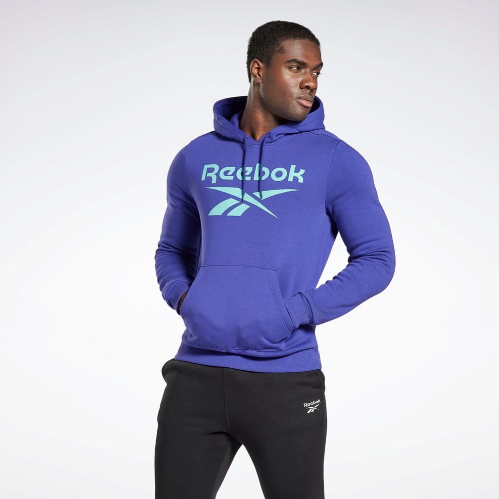 Bold Purple Reebok Reebok Identity Fleece Hoodie | HI0646