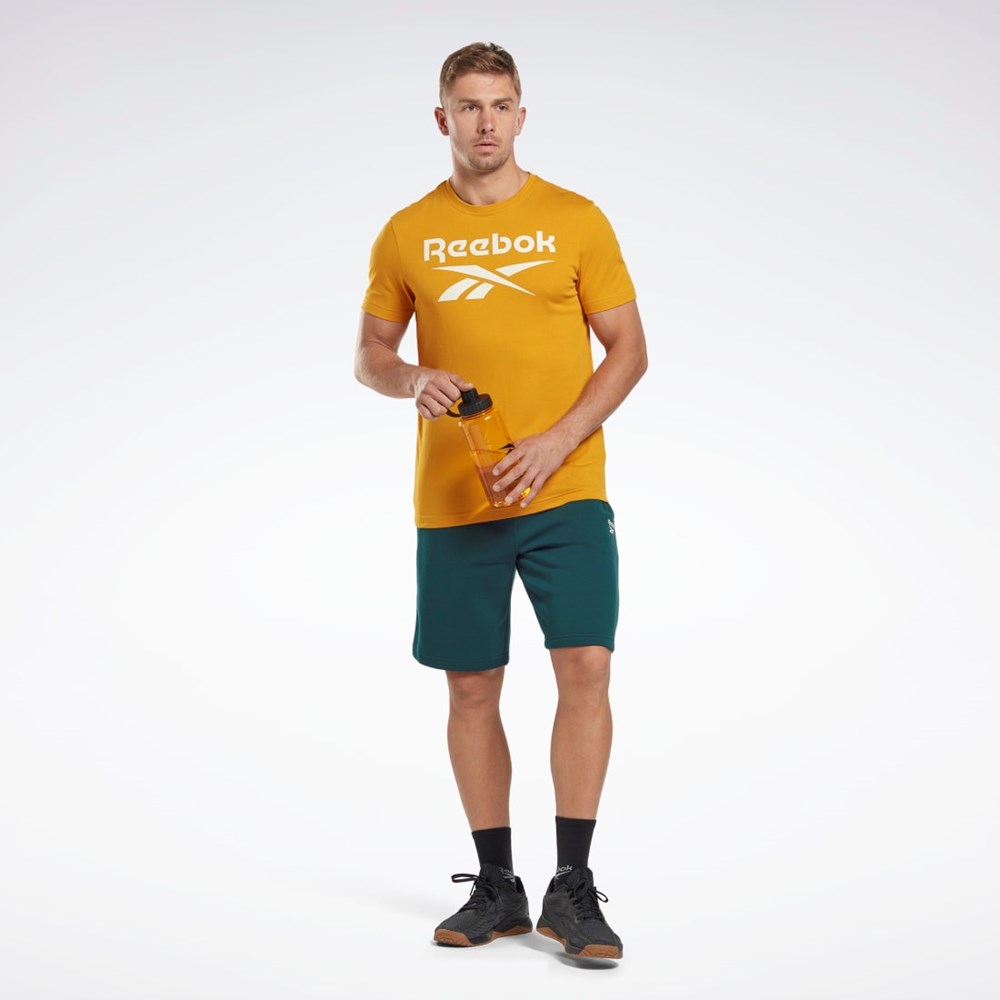 Bright Ochre Reebok Reebok Identity Big Logo T-Shirt | HJ9967