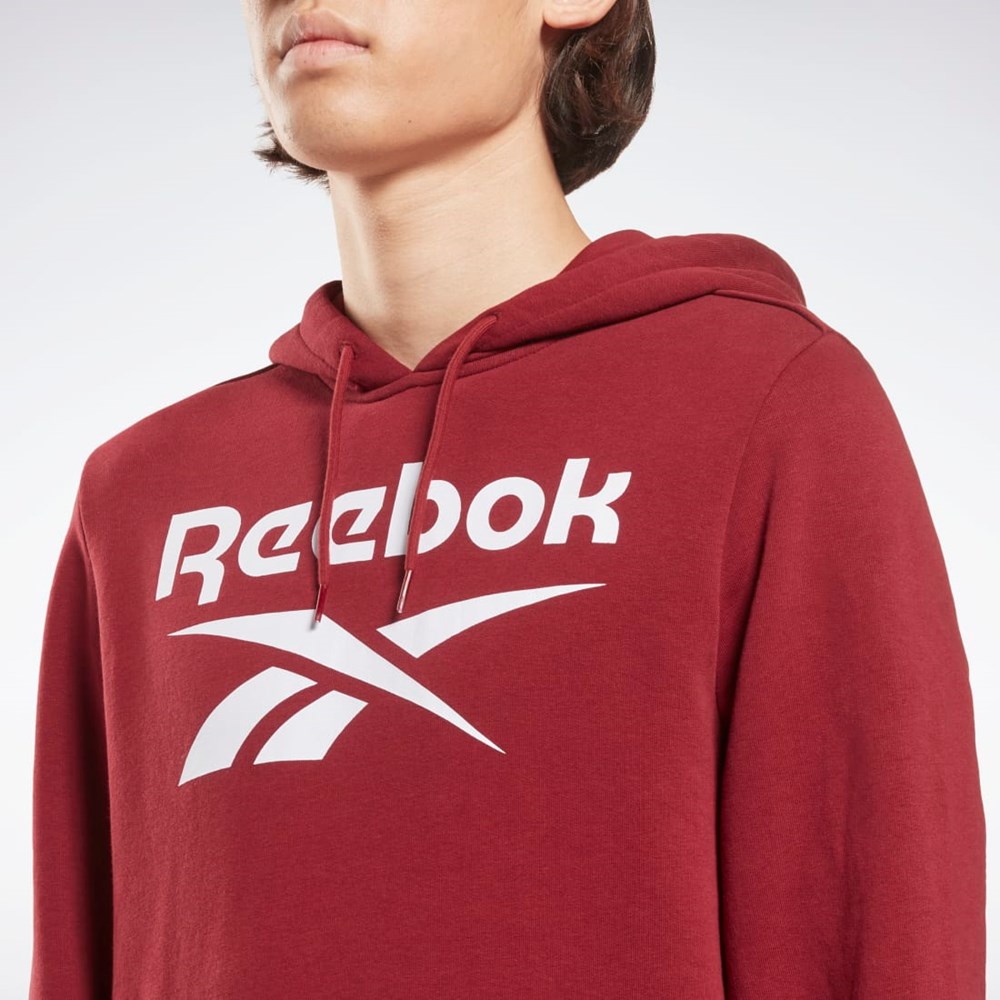 Classic Burgundy Reebok Reebok Identity Big Logo Hoodie | HF0769