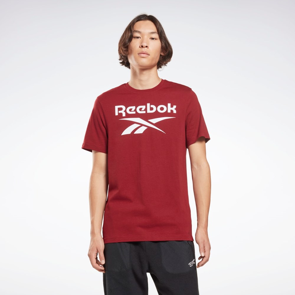 Classic Burgundy Reebok Reebok Identity Big Logo T-Shirt | HF0771