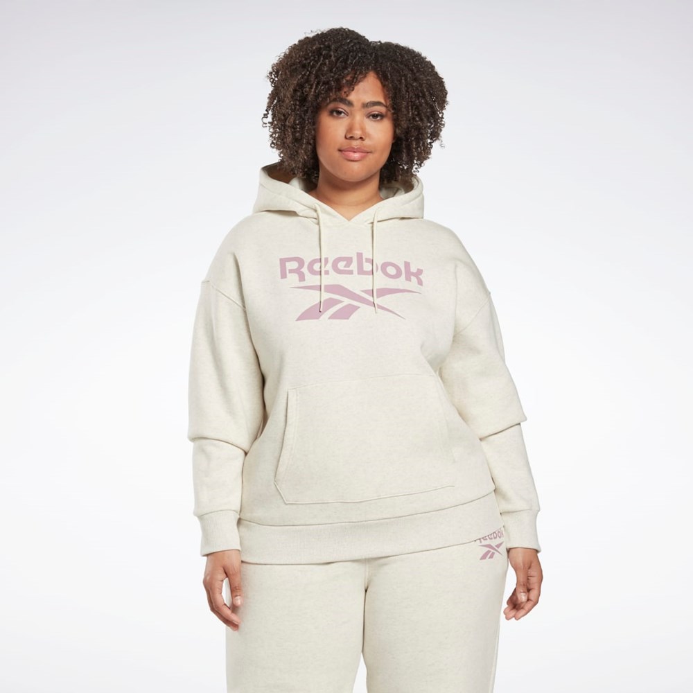 Classic White Mel Reebok Reebok Identity Logo Fleece Pullover Hoodie (Plus Size) | HM3904