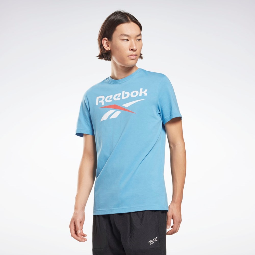 Essential Blue Reebok Reebok Identity Big Logo T-Shirt | HD4217