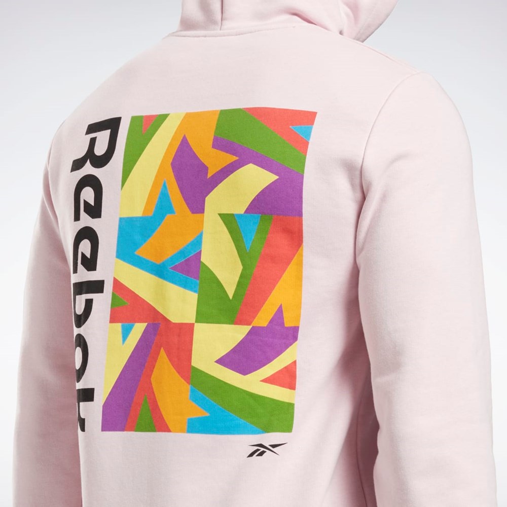 Frost Berry Reebok Tech Style Pride Graphic Sweatshirt | H42546