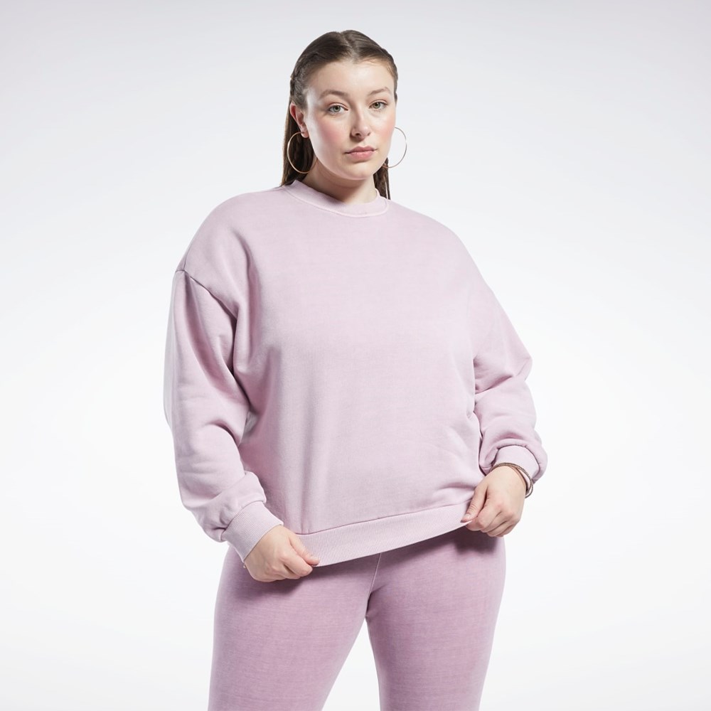 Infused Lilac Reebok Classics Natural Dye Sweatshirt (Plus Size) | HL4325