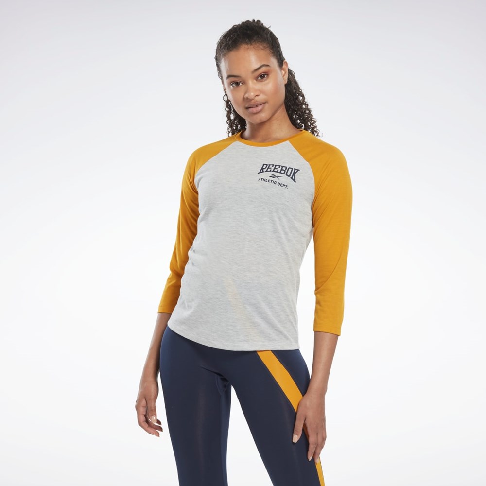 Light Grey Heather Reebok Workout Ready Baseball T-Shirt | HI6896