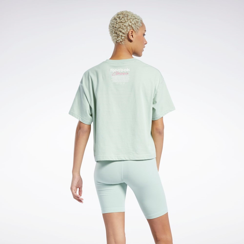 Light Sage Reebok Classics Summer Graphic T-Shirt | H58673