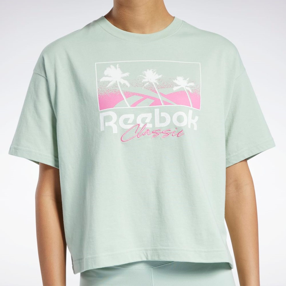 Light Sage Reebok Classics Summer Graphic T-Shirt | H58673