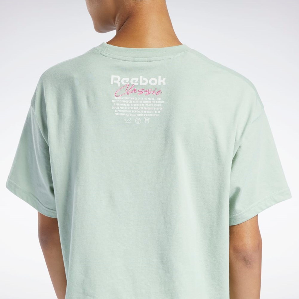 Light Sage Reebok Classics Summer Graphic T-Shirt | H58673