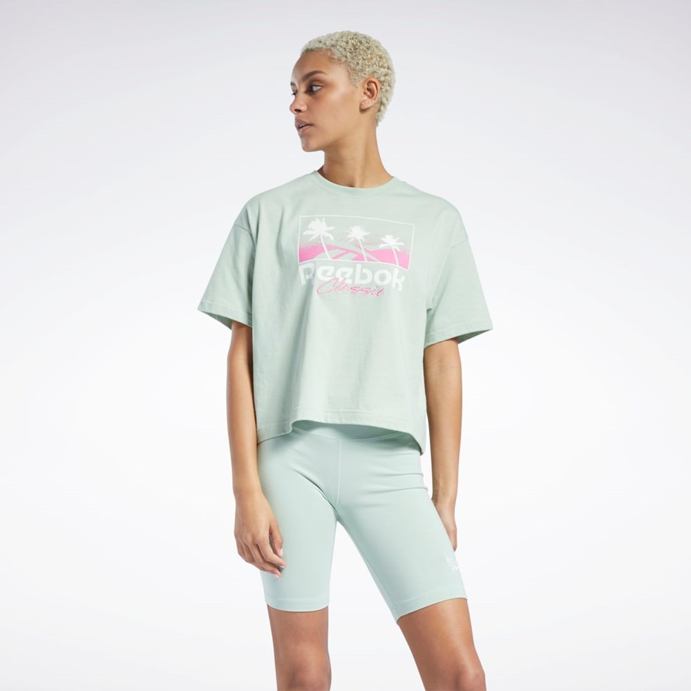 Light Sage Reebok Classics Summer Graphic T-Shirt | H58673