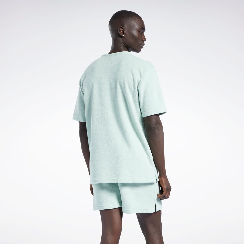 Light Sage Reebok Classics Terry T-Shirt | H54418