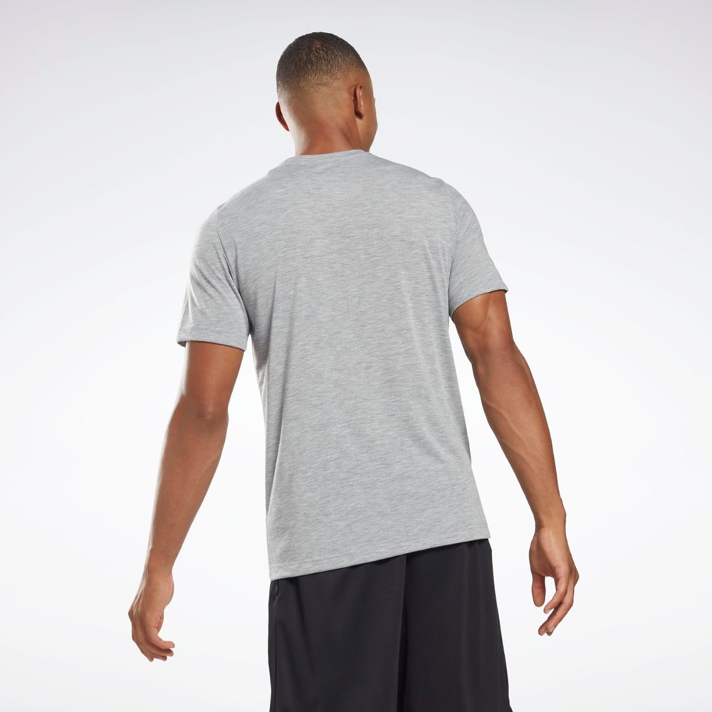 Medium Grey Heather Reebok Reebok Graphic Series T-Shirt | HB7259