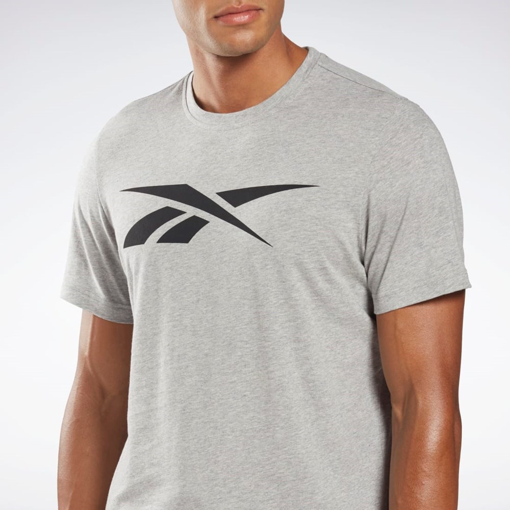 Medium Grey Heather Reebok Reebok Graphic Series Vector T-Shirt | HD4001