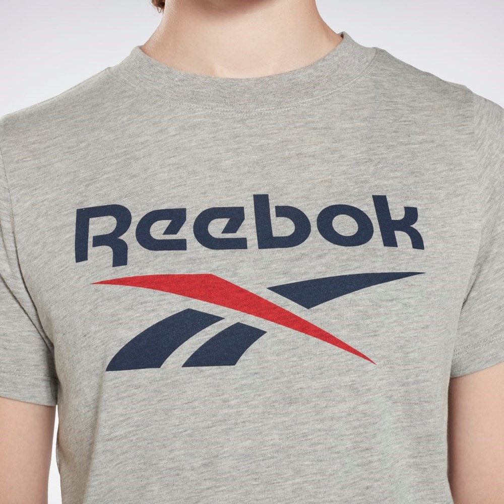 Medium Grey Heather Reebok Reebok Identity Logo T-Shirt | GI6707