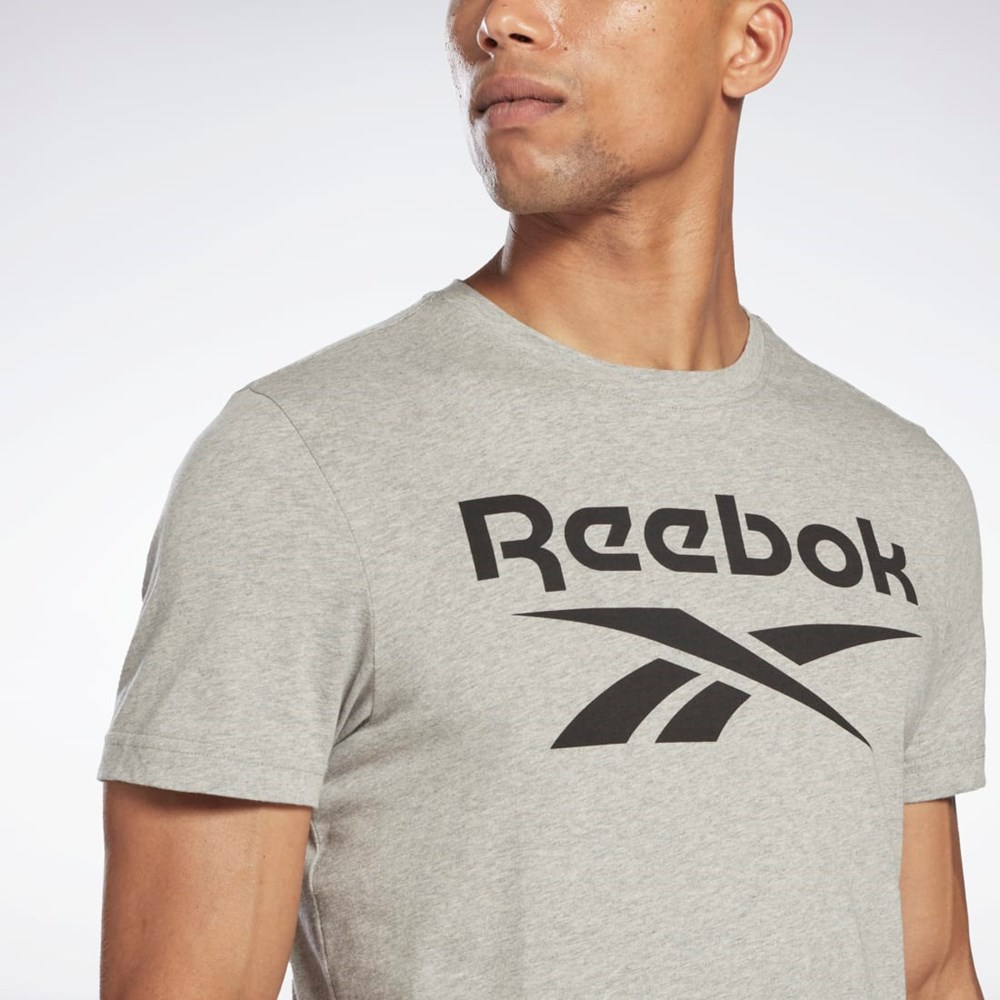 Medium Grey Heather Reebok Reebok Identity Big Logo T-Shirt | HD4219