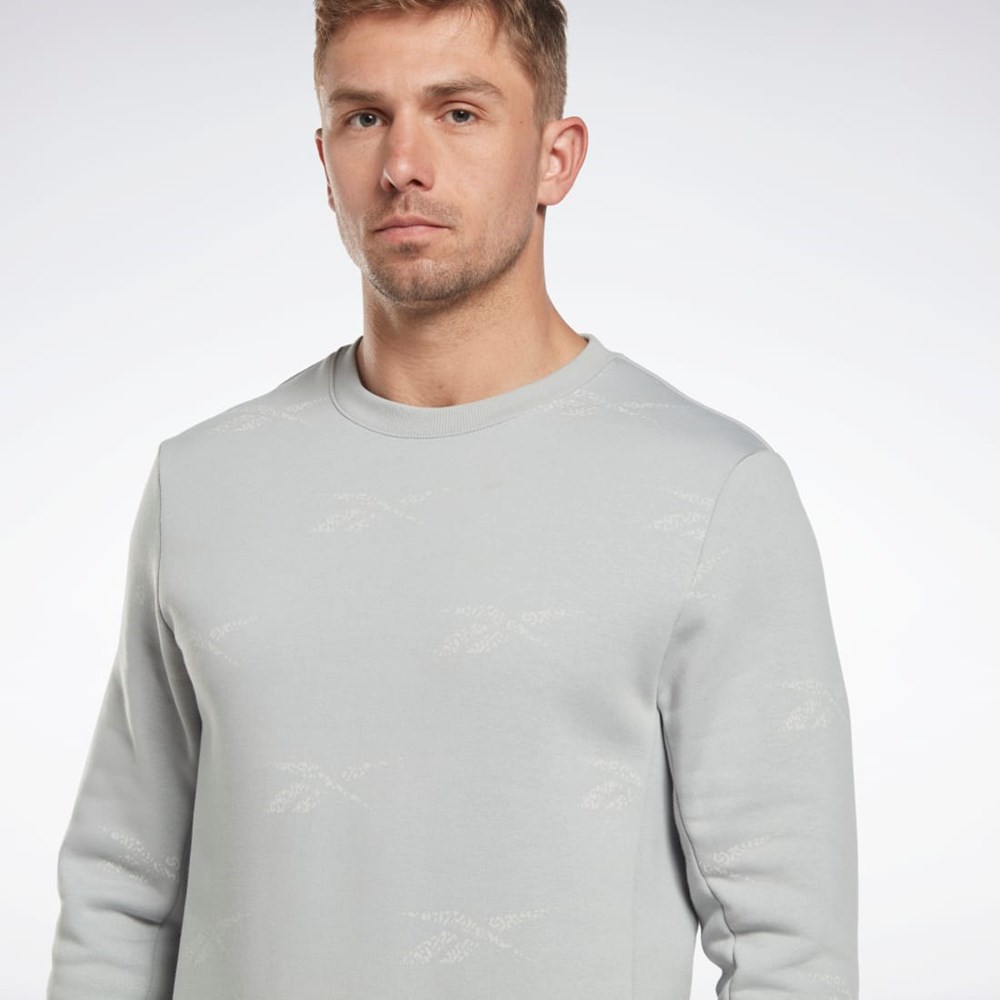 Pure Grey 3 Reebok Reebok Identity Vector Fleece Crew Sweatshirt | HN6884