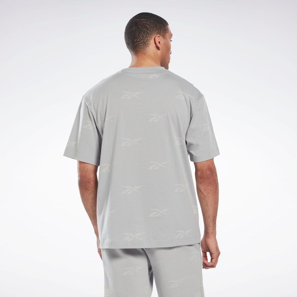 Pure Grey 3 Reebok Reebok Identity Vector T-Shirt | HN6886