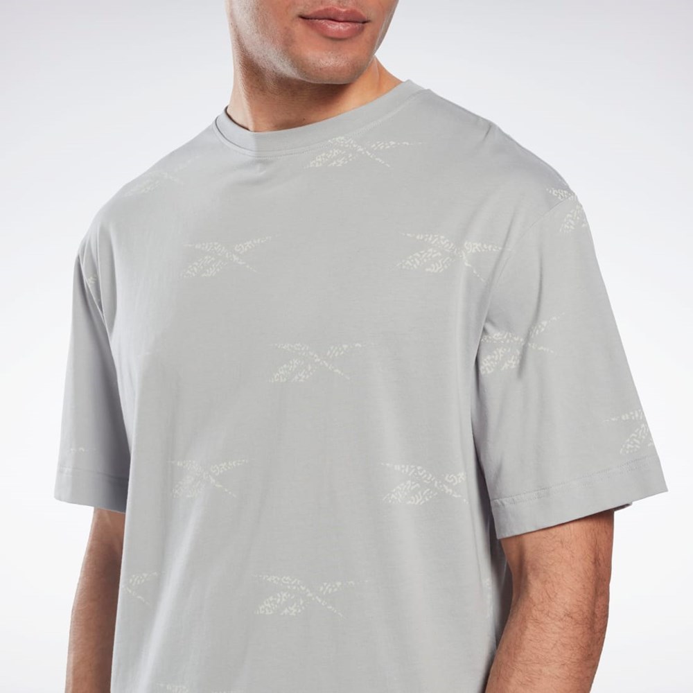 Pure Grey 3 Reebok Reebok Identity Vector T-Shirt | HN6886