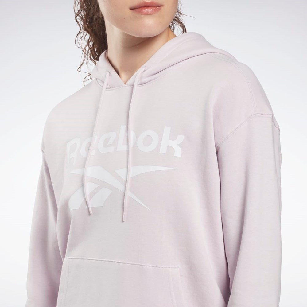 Quartz Glow Reebok Reebok Identity Logo French Terry Hoodie | HE5403