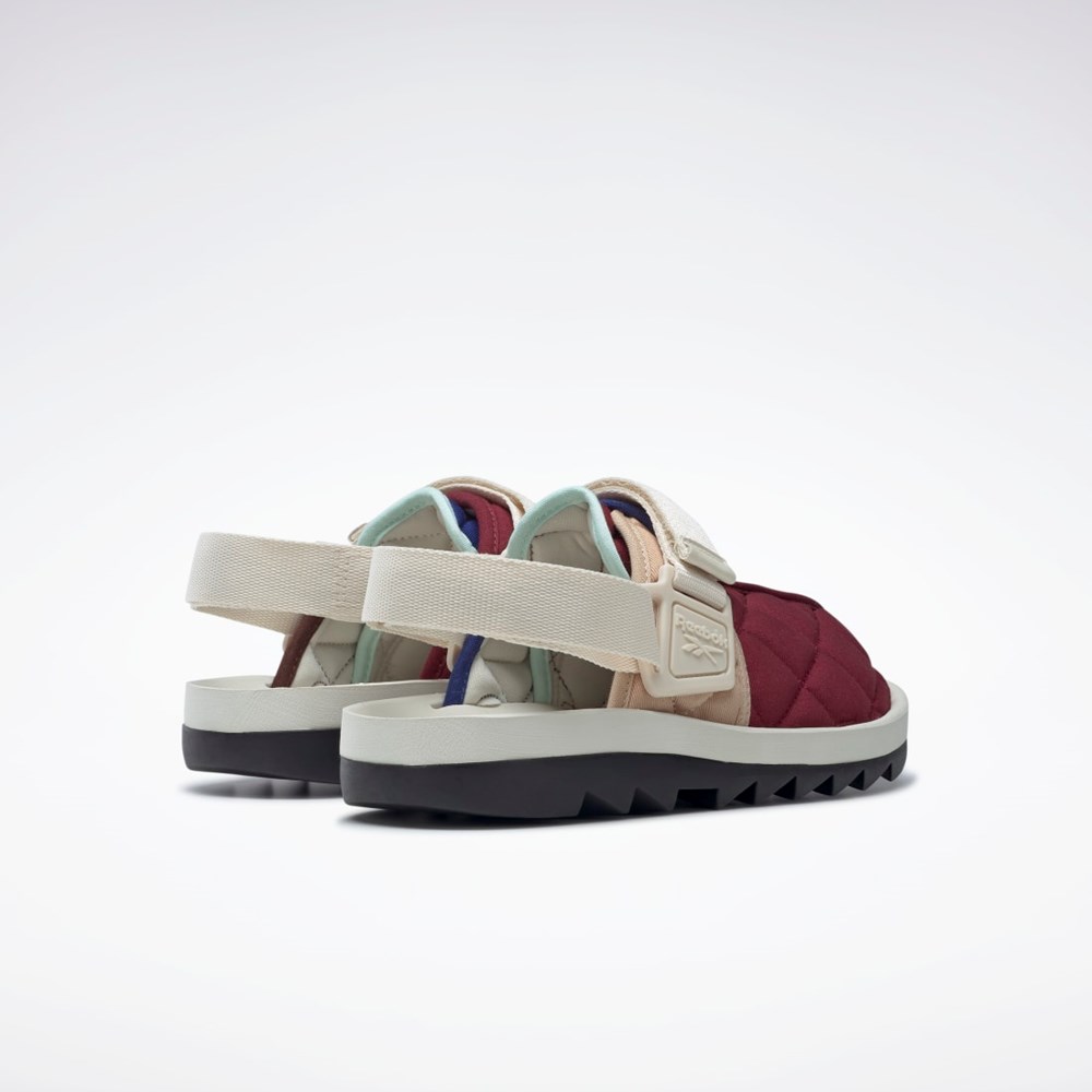 Sahara / Classic Cobalt / Classic Burgundy Reebok Beatnik Slides | HQ6250