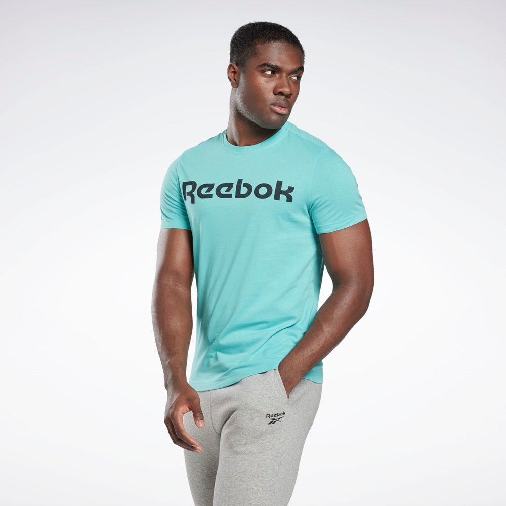 Semi Classic Teal Reebok Graphic Series Linear Logo Tee | HI6288