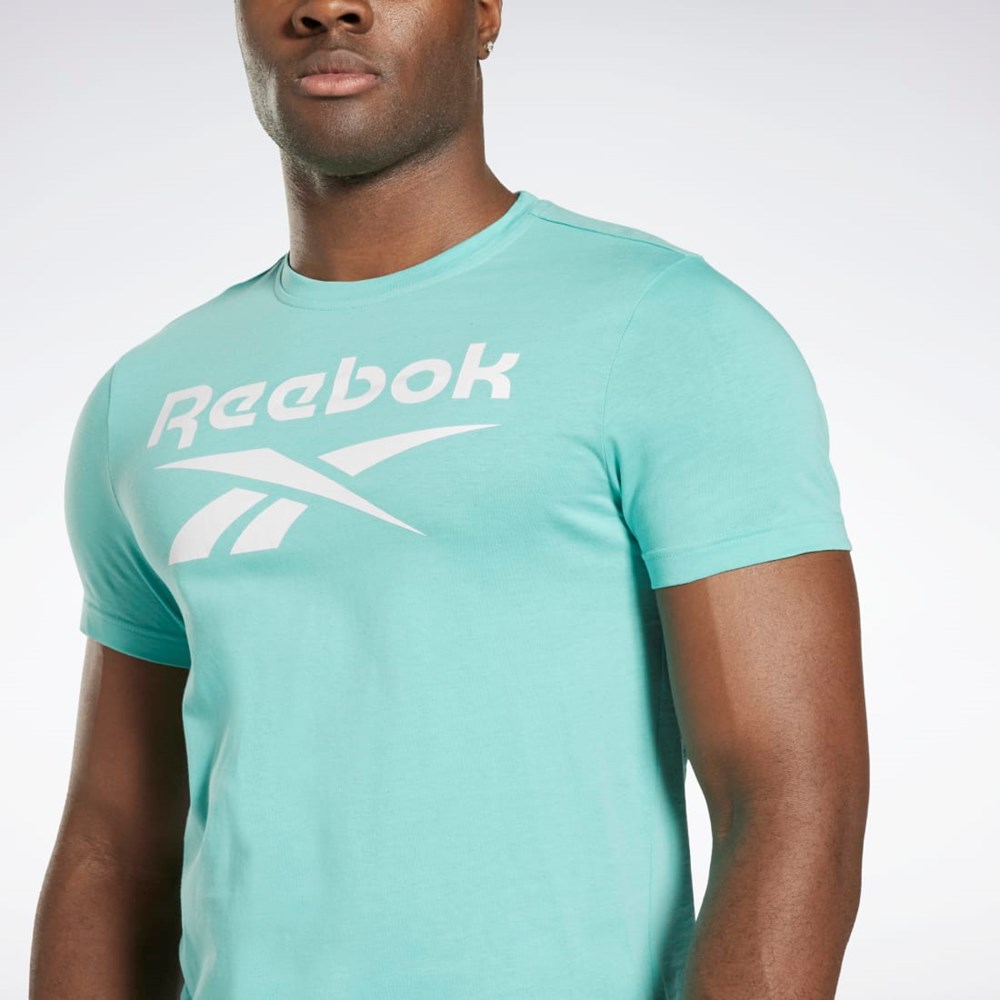 Semi Classic Teal Reebok Reebok Identity Big Logo T-Shirt | HI0657