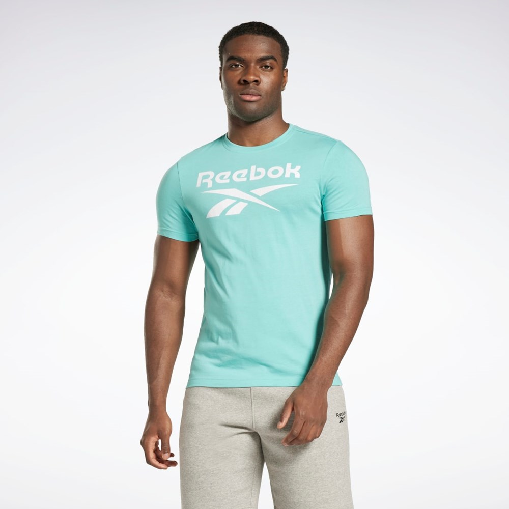 Semi Classic Teal Reebok Reebok Identity Big Logo T-Shirt | HI0657