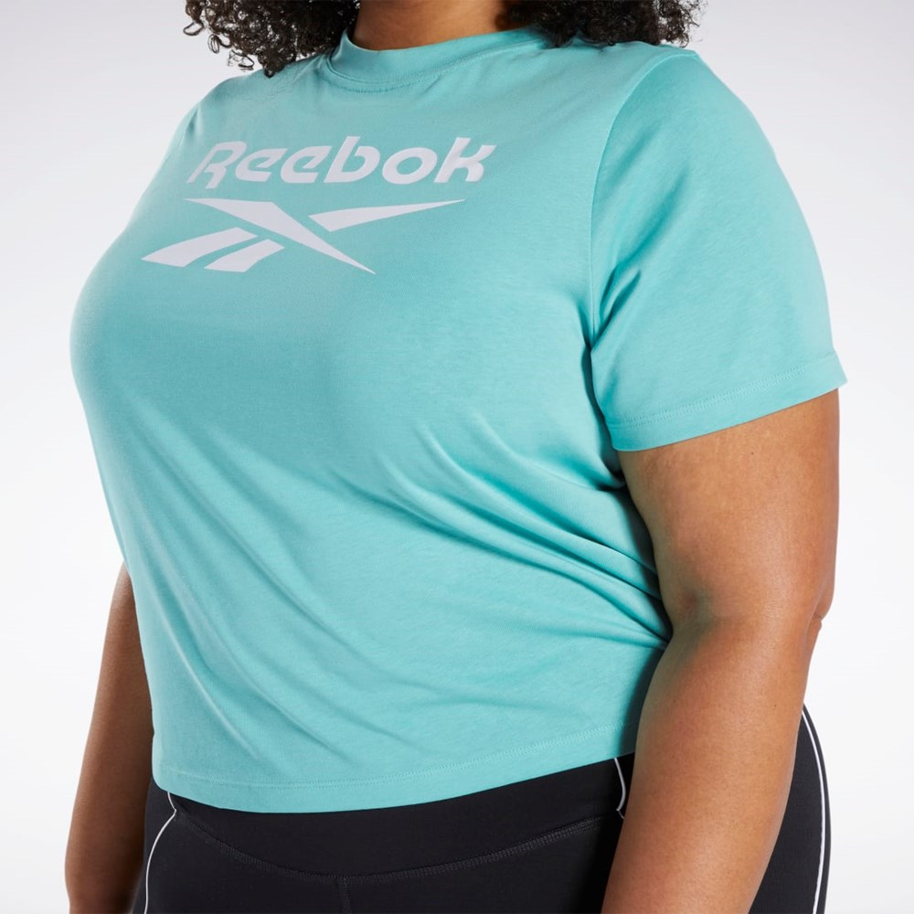 Semi Classic Teal Reebok Reebok Identity T-Shirt (Plus Size) | HS0054