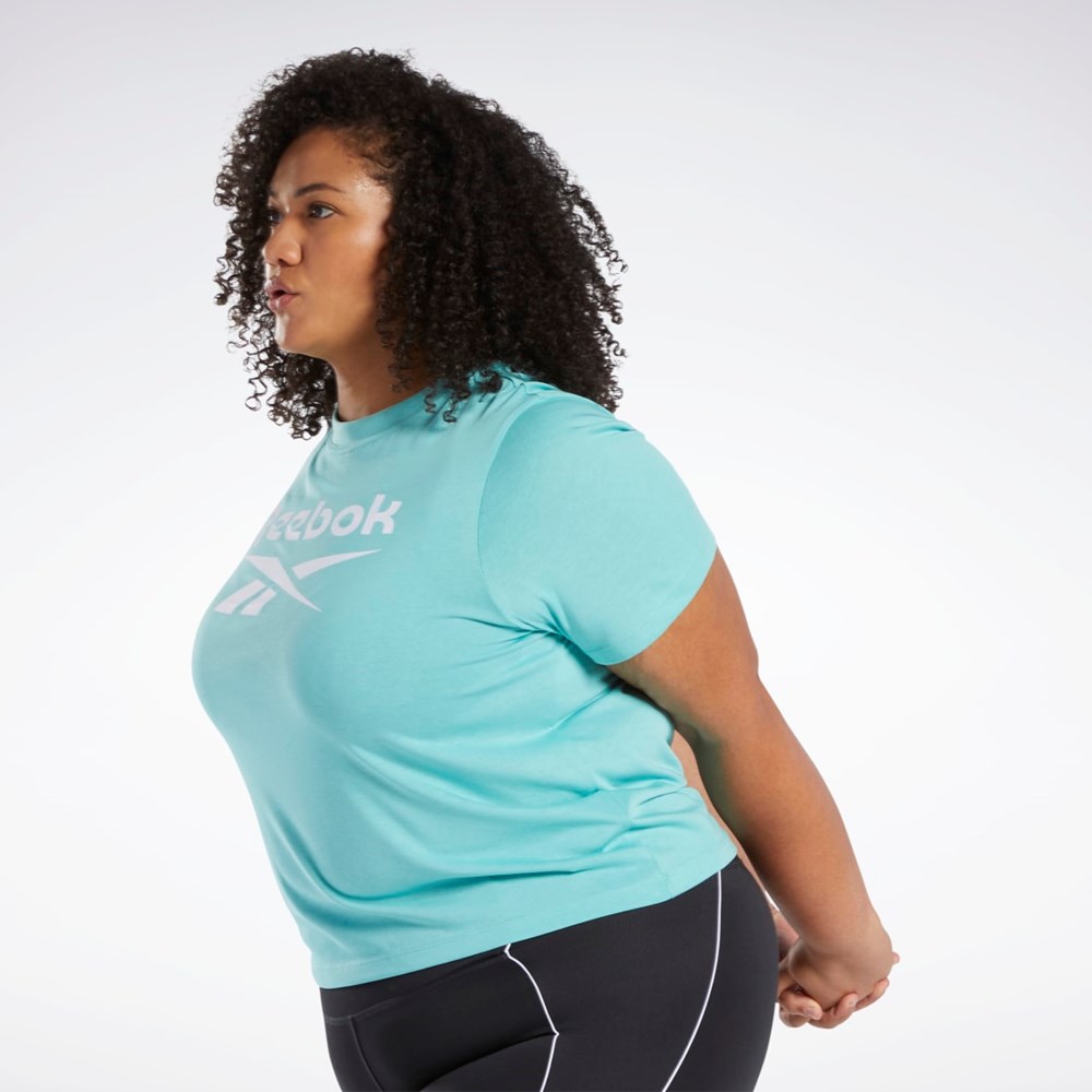 Semi Classic Teal Reebok Reebok Identity T-Shirt (Plus Size) | HS0054