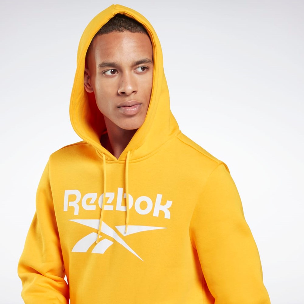 Semi Solar Gold Reebok Reebok Identity Fleece Hoodie | H60065