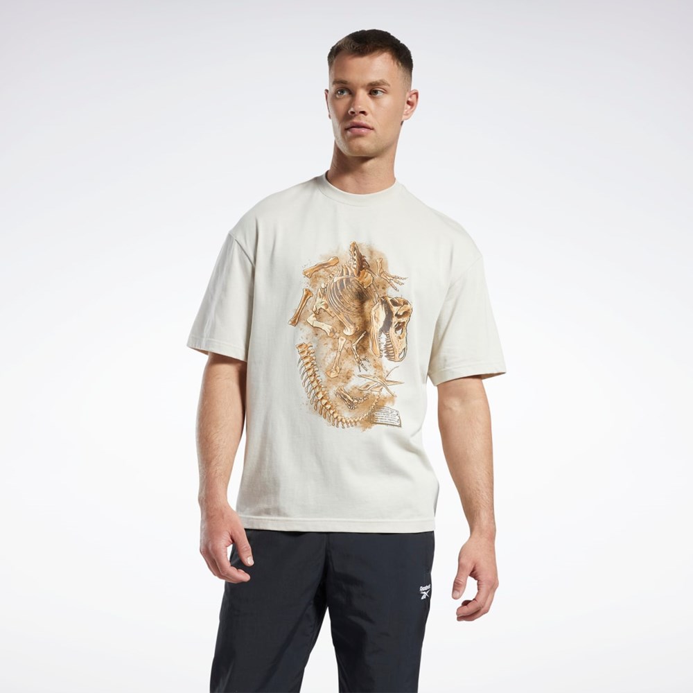 Stucco Reebok Jurassic World Fossil T-Shirt | HT3321