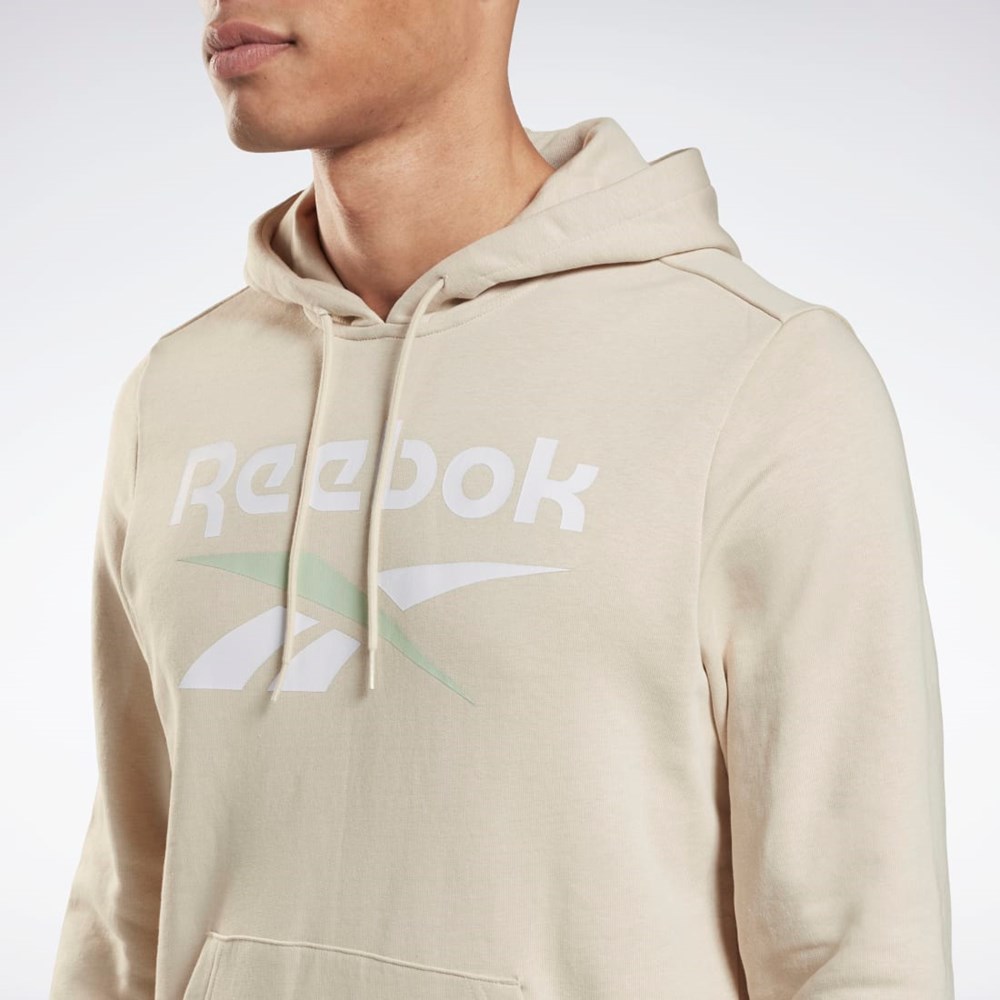 Stucco Reebok Reebok Identity Big Logo Hoodie | H54481