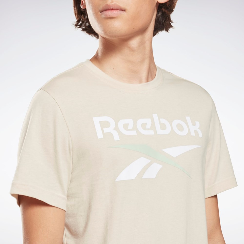 Stucco Reebok Reebok Identity Big Logo T-Shirt | HD4221