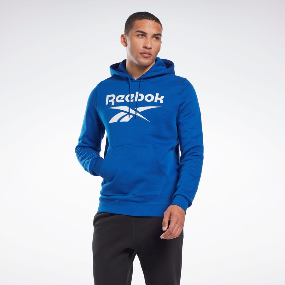 Vector Blue Reebok Reebok Identity Fleece Hoodie | HR8234