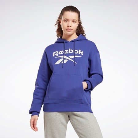 Bold Purple Reebok Reebok Identity Logo Fleece Pullover Hoodie | HI2939