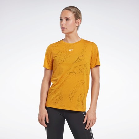 Bright Ochre Reebok Burnout T-Shirt | HK4788