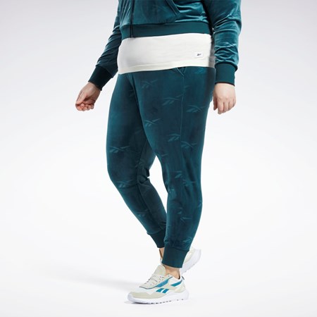 Forest Green Reebok Classics Energy Q4 Velour Pants (Plus Size) | HM2909