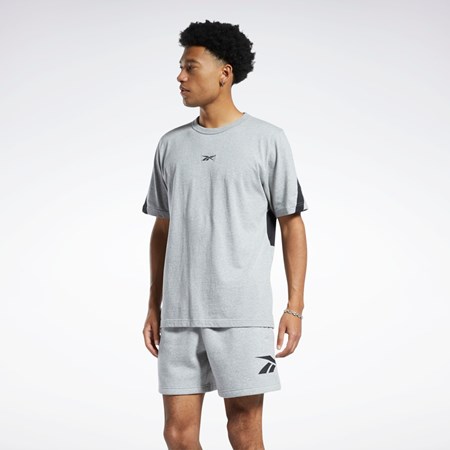 Medium Grey Heather Reebok Classics Brand Proud T-Shirt | HS6845