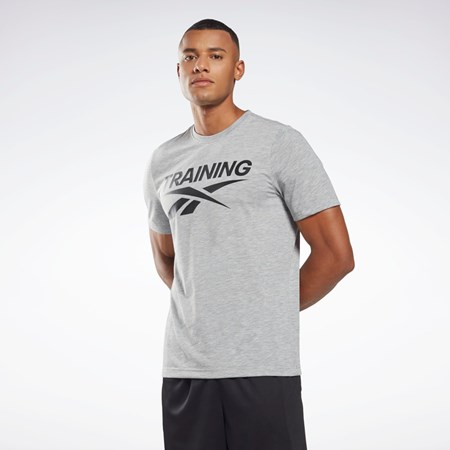 Medium Grey Heather Reebok Reebok Graphic Series T-Shirt | HB7259