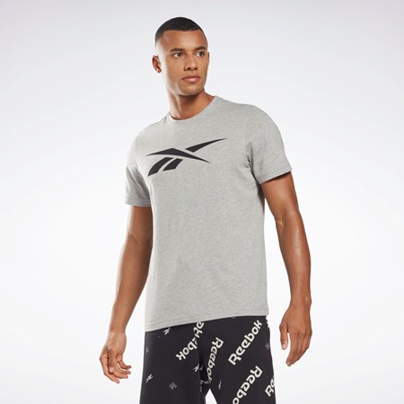 Medium Grey Heather Reebok Reebok Graphic Series Vector T-Shirt | HD4001