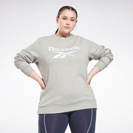 Medium Grey Heather Reebok Reebok Identity Logo Fleece Crew Sweatshirt (Plus Size) | GR9286