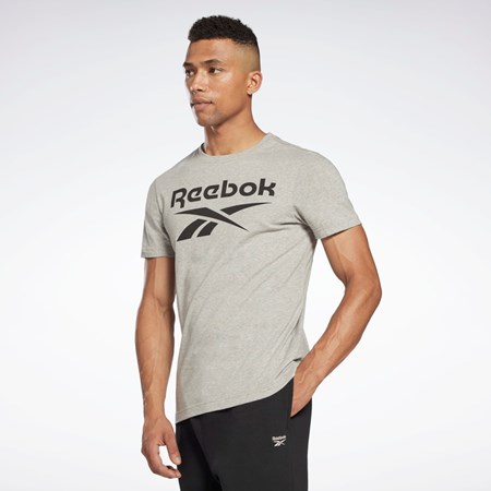 Medium Grey Heather Reebok Reebok Identity Big Logo T-Shirt | HD4219