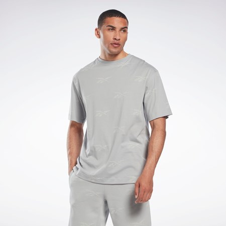 Pure Grey 3 Reebok Reebok Identity Vector T-Shirt | HN6886