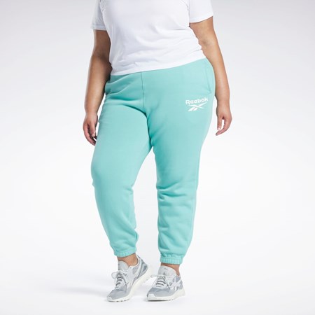 Semi Classic Teal Reebok Reebok Identity Logo Fleece Joggers (Plus Size) | HS0046