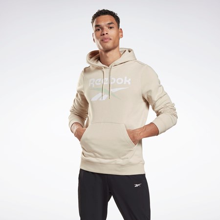 Stucco Reebok Reebok Identity Big Logo Hoodie | H54481