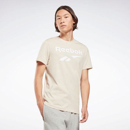 Stucco Reebok Reebok Identity Big Logo T-Shirt | HD4221