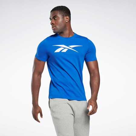 Vector Blue Reebok Reebok Graphic Series Vector T-Shirt | HI6295