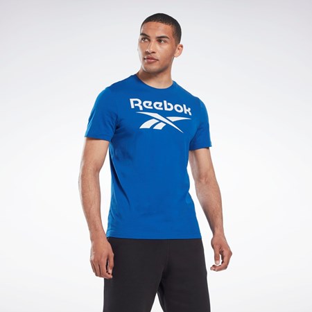 Vector Blue Reebok Reebok Identity Big Logo T-Shirt | HR8242