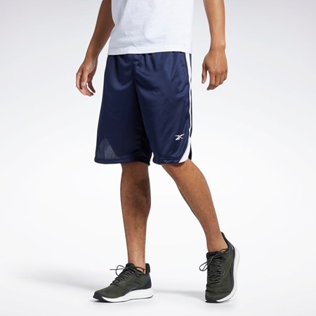 Vector Navy Reebok Workout Ready Mesh Shorts | HL1980